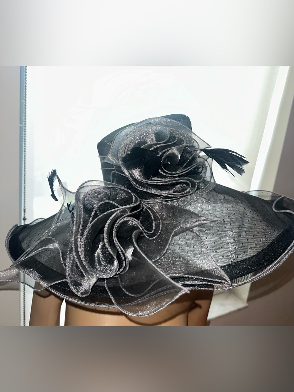 Fancy Hat